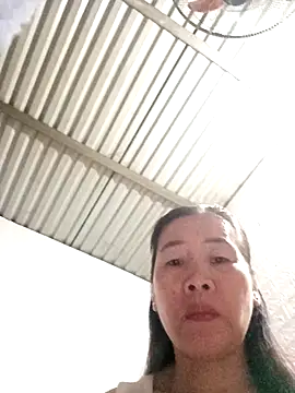 tabby-cat11 online show from 3, 11, 2025