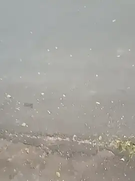 roludao fun online show from 23, 2, 2026