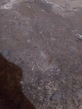 Orlao25cm online show from 16, 11, 2025