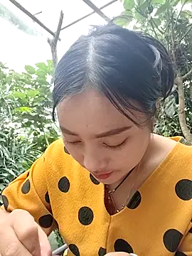 Sinhlinh2020 online show from 6, 11, 2025