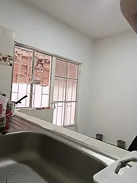 Snapshot of Ladyswap chatting on 27, 11, 2025 Ladyswap online show from 27, 11, 2025