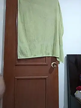 Snapshot of Ladyswap chatting on 30, 11, 2025 Ladyswap online show from 30, 11, 2025