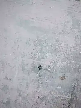 Snapshot of thanuja- chatting on 23, 10, 2025 thanuja- online show from 23, 10, 2025