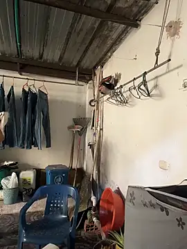 violeta365 online show from 24, 3, 2026