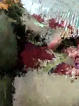 sexy 6hvhhh online show from 26, 10, 2025