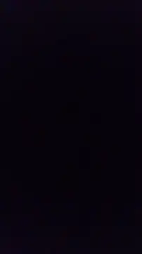 Sfdocom online show from 27, 11, 2025