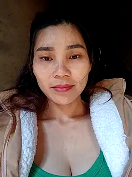 Bear bear0 online show from 26, 11, 2025