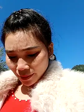 Bear bear0 online show from 29, 11, 2025