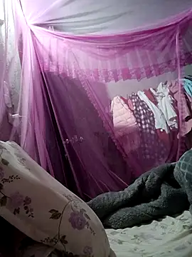 Bear bear0 online show from 25, 2, 2026