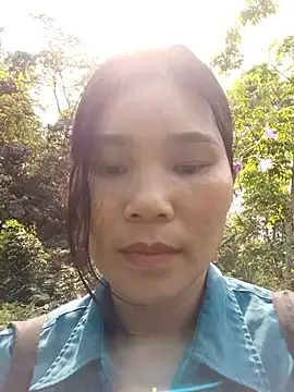 Bear bear0 online show from 11, 4, 2026