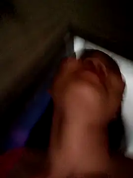 Bear bear0 online show from 18, 4, 2026