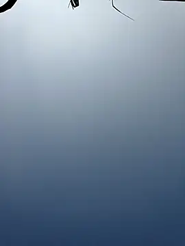 Menu x online show from 13, 1, 2026