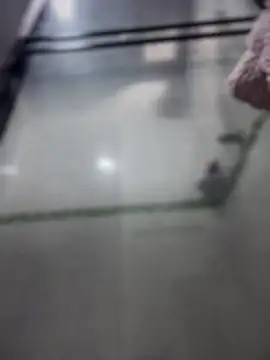 Violeet-Smith online show from 27, 3, 2026