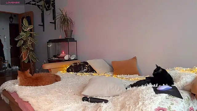 Snapshot of Lin_Cherie chatting on 20, 11, 2025 Lin Cherie online show from 20, 11, 2025