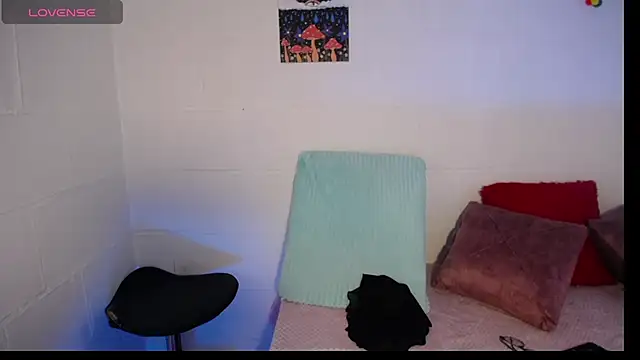 IR1S  online show from 28, 7, 2026