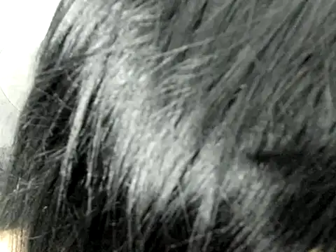 Amminna online show from 29, 11, 2025