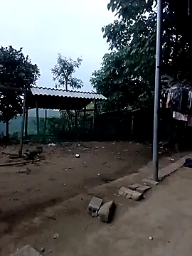 Irin jo online show from 16, 4, 2026