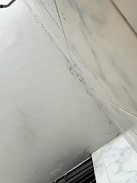 alfarabisami online show from 24, 4, 2026