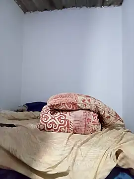 cami 3008 online show from 13, 11, 2025