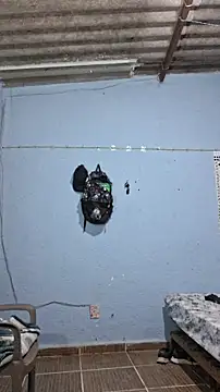 666Daemon666 online show from 17, 2, 2026