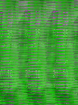 Snapshot of chich-bong chatting on 15, 12, 2025 chich-bong online show from 15, 12, 2025