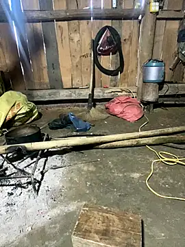 Snapshot of nachi-baby chatting on 14, 12, 2025 nachi-baby online show from 14, 12, 2025