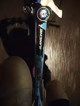 Neciaa online show from 28, 4, 2026