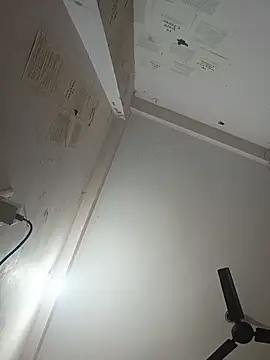 indoregigolo online show from 29, 10, 2025