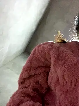 Yunzang online show from 16, 1, 2026