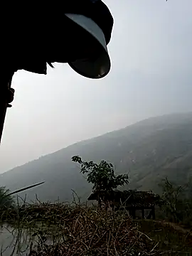 Noelle-e online show from 6, 4, 2026