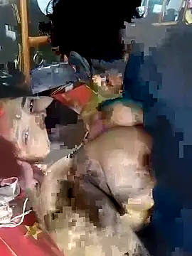 hot couple 000 online show from 16, 1, 2026