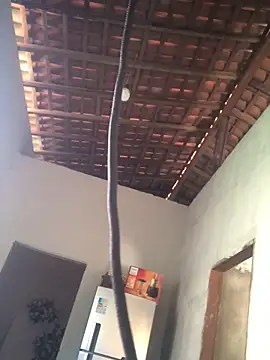 Snapshot of Ralf2011 chatting on 4, 12, 2025 Ralf2011 online show from 4, 12, 2025