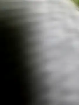 playboy210600 online show from 5, 2, 2026