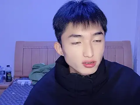 N228 online show from 22, 11, 2025