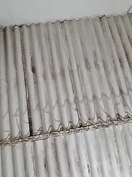 Snapshot of Dirty-Mature-XXX chatting on 10, 2, 2026 Dirty-Mature-XXX online show from 10, 2, 2026