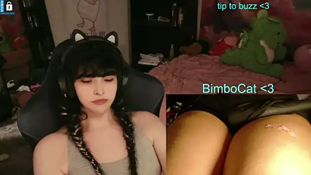 BimboCat online show from 17, 5, 2026