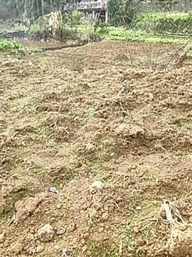 Snapshot of tian7788 chatting on 17, 2, 2026 tian7788 online show from 17, 2, 2026