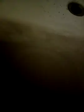 pino870 online show from 11, 2, 2026