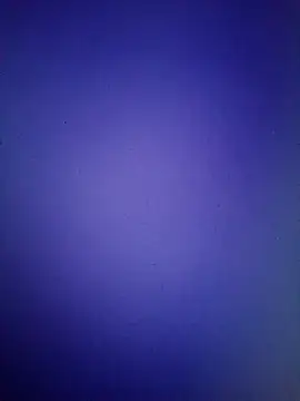 Pallu Asha online show from 16, 3, 2026