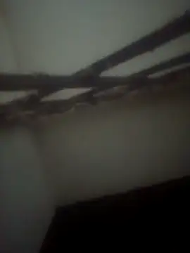 Pallu Asha online show from 28, 4, 2026