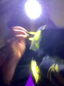 bi-bo123 online show from 11, 1, 2026