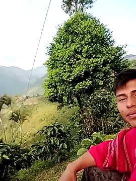 Ckinetor online show from 1, 3, 2026