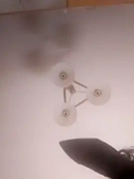 Brigitta886 online show from 31, 3, 2026