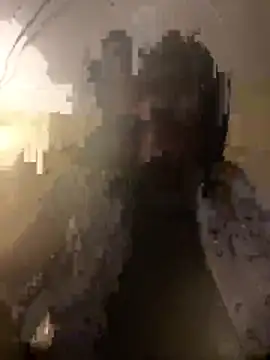 Dave 5518 online show from 17, 3, 2026