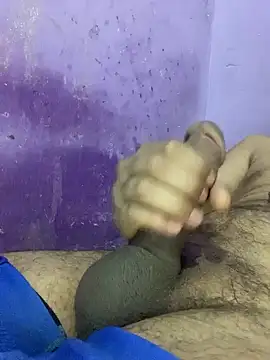 hotman29 online show from 8, 11, 2025