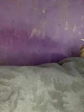 hotman29 online show from 26, 11, 2025