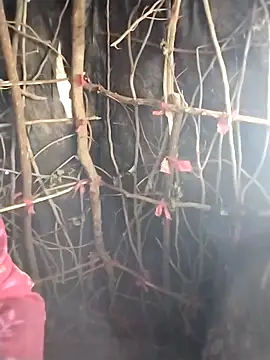 Snapshot of Jooli_cuty chatting on 20, 2, 2026 Jooli cuty online show from 20, 2, 2026