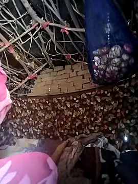 Snapshot of Jooli_cuty chatting on 21, 2, 2026 Jooli cuty online show from 21, 2, 2026