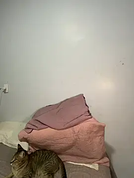 lele inocente online show from 11, 3, 2026