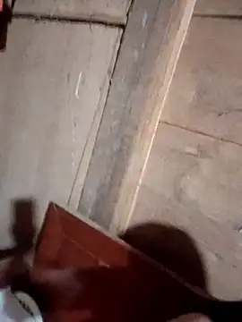 Bee-bgolden online show from 12, 11, 2025